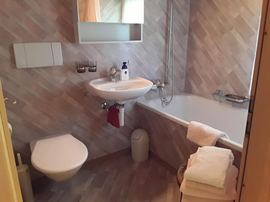 Zwinglis Ferienwohnung Rosi Nesslau 外观 照片